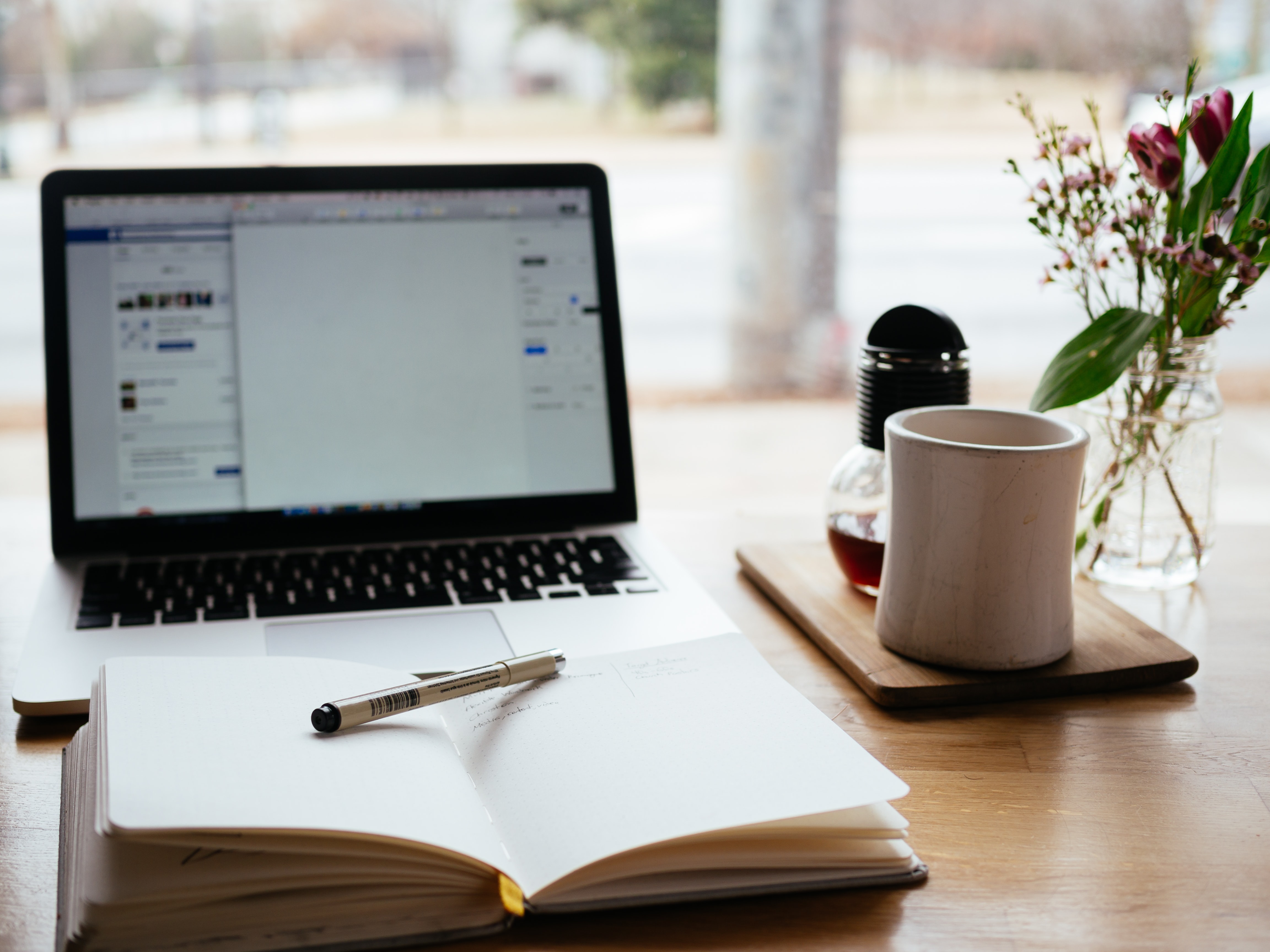 Laptop, coffee mug, book, and plant on a desk